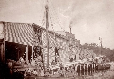 Shag Bay