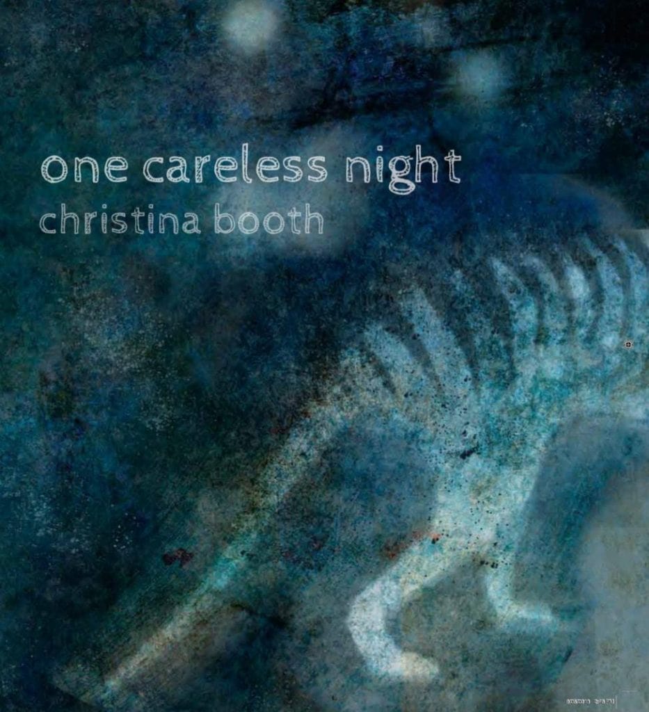 Book Reviews: One Careless Night; Ultimate Animal Counting Book 5 Book Reviews: One Careless Night; Ultimate Animal Counting Book 5