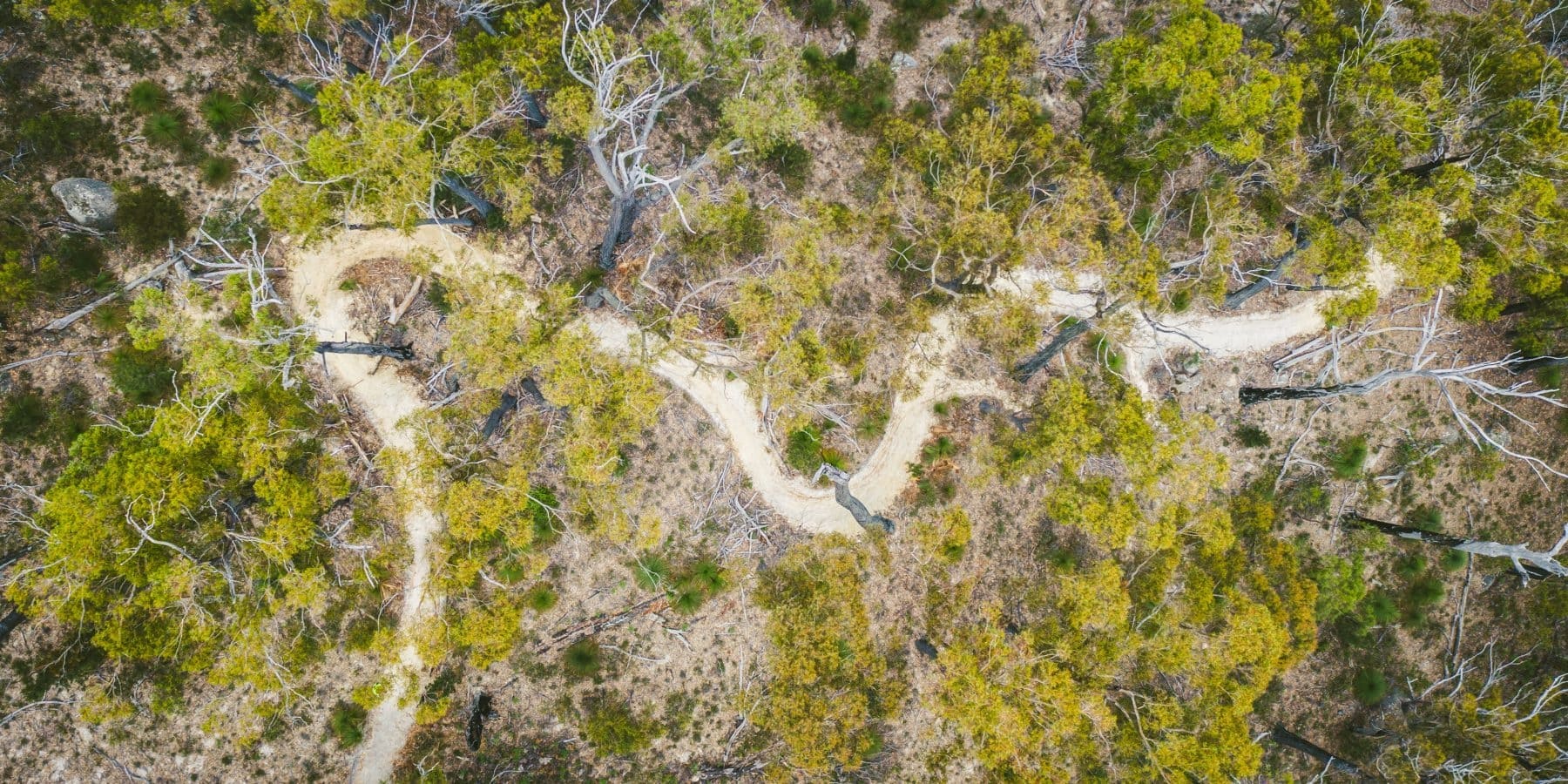 St Helens mountain bike trail