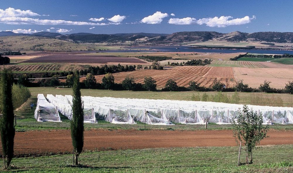 Coal River Cool Valley Source of Hot New Wines Tasmanian Times