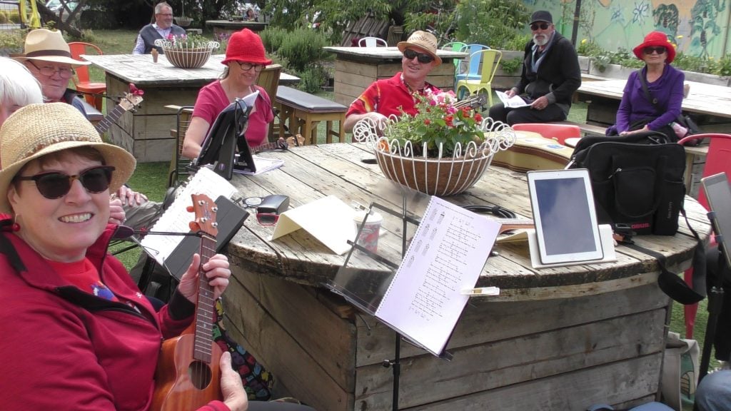 Cygnet folk