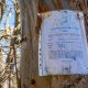 developments in national parks