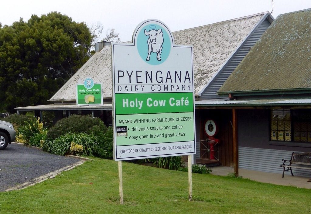 Pyengana electrocution