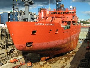 Australian Government Urged to Acquire Aurora Australis as Emergency Vessel 5 Australian Government Urged to Acquire Aurora Australis as Emergency Vessel 5
