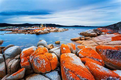 A Chance to Reset Tasmania 1