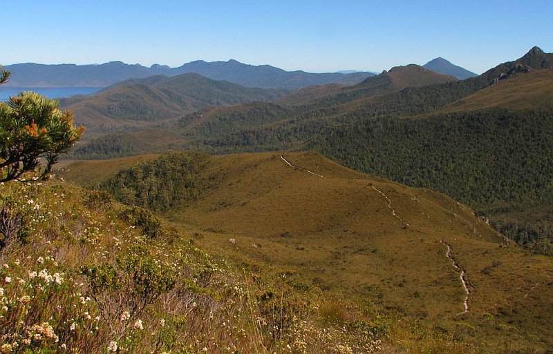Repair of Fire-damaged National Park Infrastructure 1