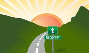 Premier: Tas Economic and Social Recovery Advisory Council 5