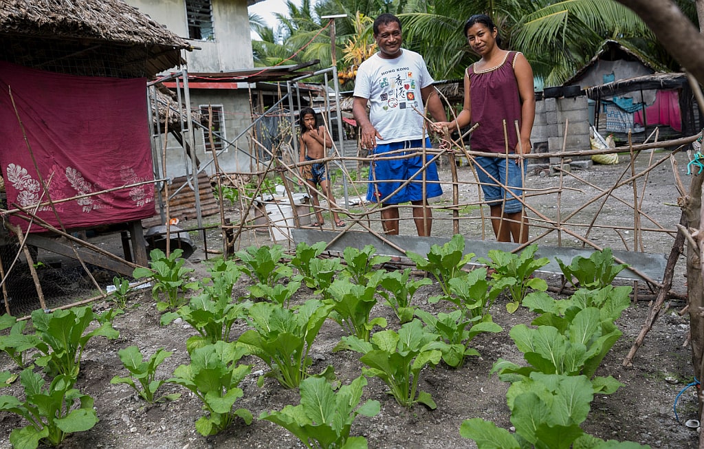 Compost Recipe gives Pacific Island Countries a Nutrient Boost 1