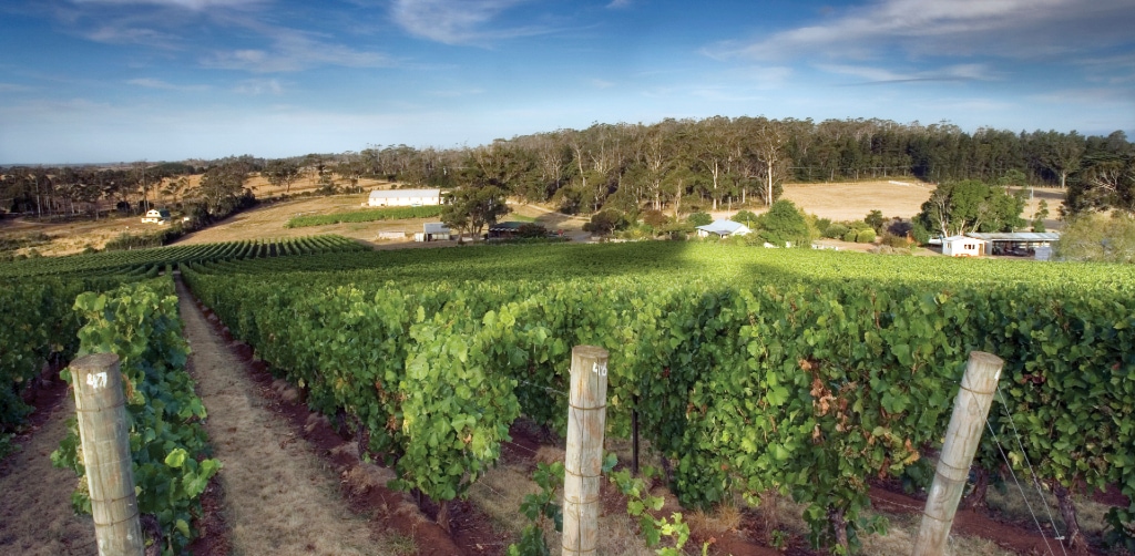Dalrymple Vineyards