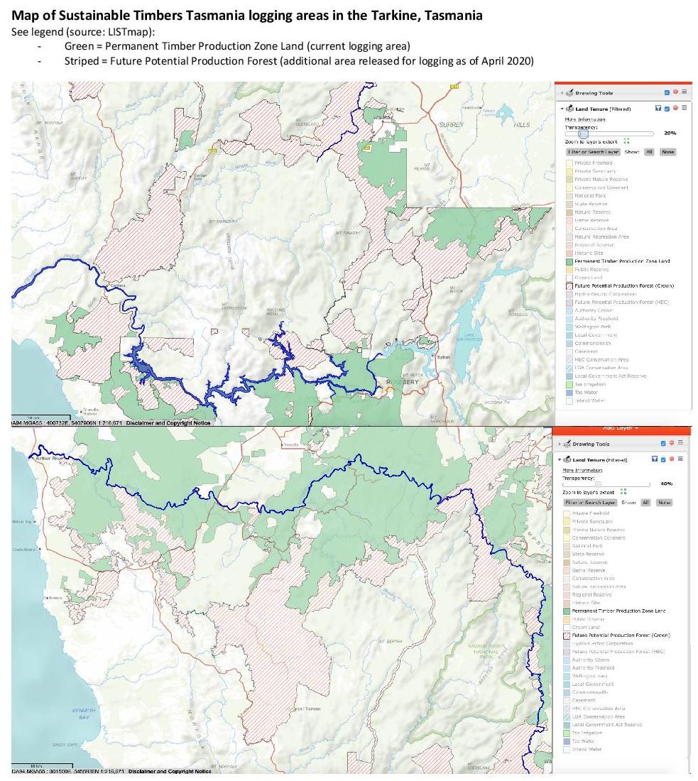 Stop Tarkine Logging: Open Letter to Premier - Tasmanian Times