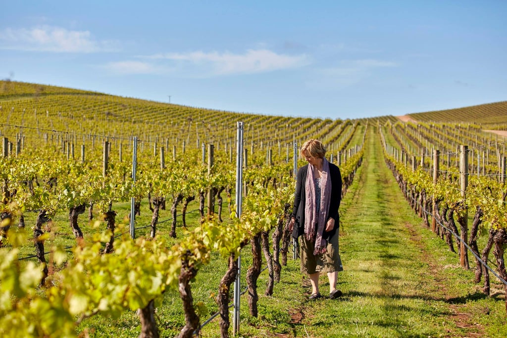 Dalrymple Vineyard