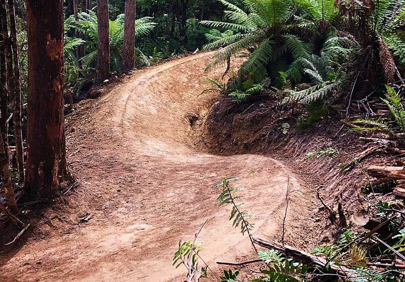 Maydena Bike Trails Update 1