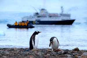 Antarctic cruise ship