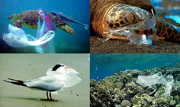 Toward Greener Plastics 1