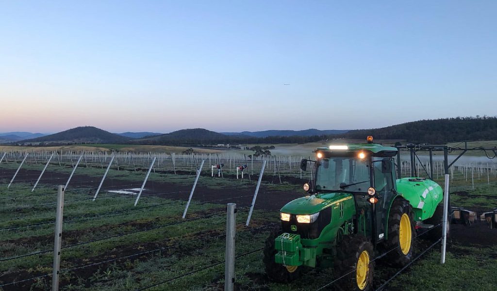 Absolute viticulture