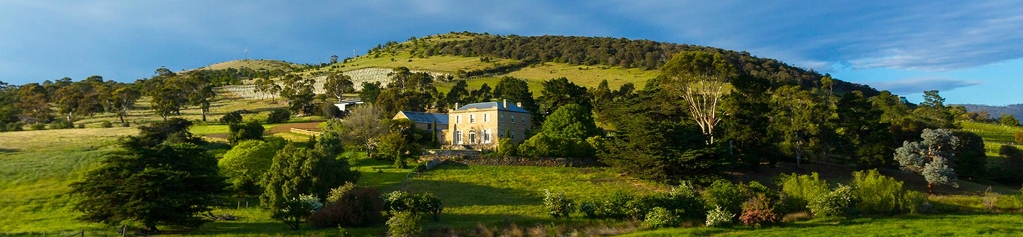 Pooley Wines