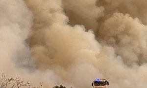 Seasonal Bushfire Outlook Spring 2023 16