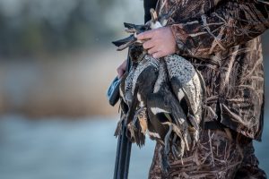 Barnett Winged by Major Duck-Up 2 Barnett Winged by Major Duck-Up 2