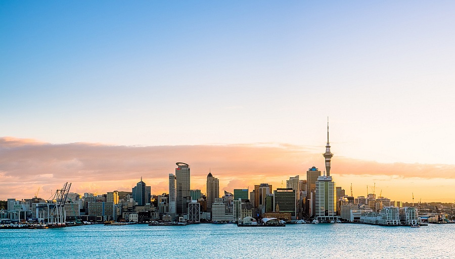 New COVID-19 Cases in NZ Community 1