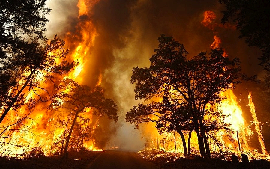 Australia Needs a National Bushfire Monitoring Agency 1