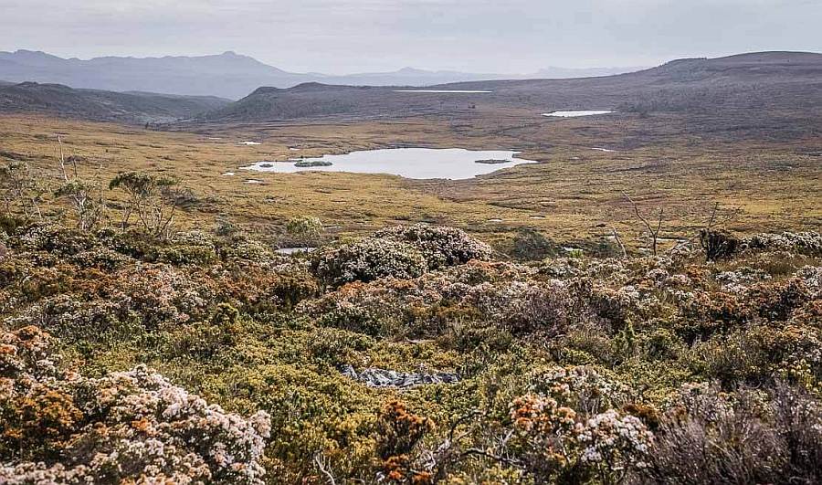 T21 Tasmanian Visitor Economy Action Plan Released 1