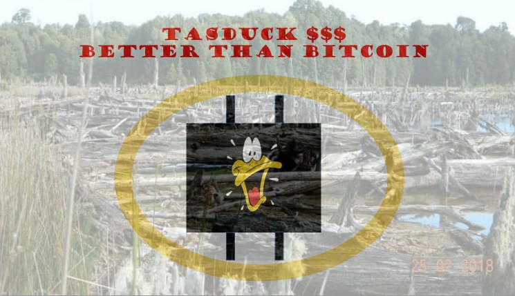 Invest in TASDuck Now! 1