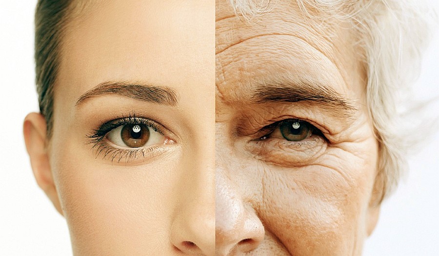 Age is Everybody's Business 1