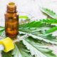 medicinal cannabis