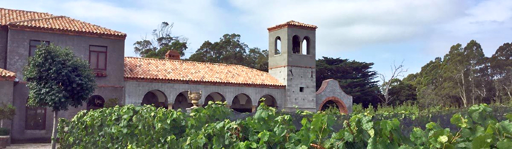 After False Start, Wine Venture Back on Track 1