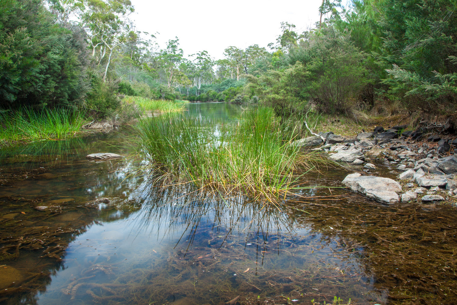 New Nature Reserve 3