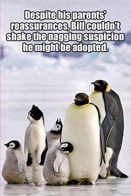 Adoptee Struggles With Forming Lasting Relationships 3 Adoptee Struggles With Forming Lasting Relationships 3