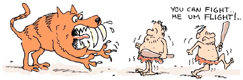 Overcoming Fatigue Caused by Stress 2