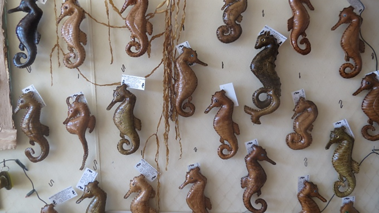 King Island Kelp Craft 1