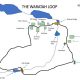 STT Open to Waratah Loop Project 16