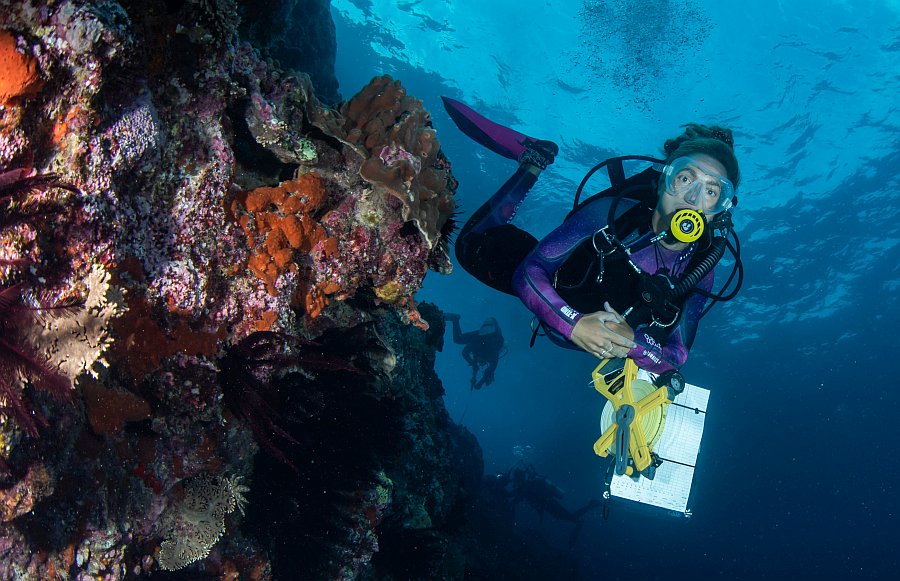 Immersive Platform to Explore Global Reef Ecosystems - Tasmanian Times