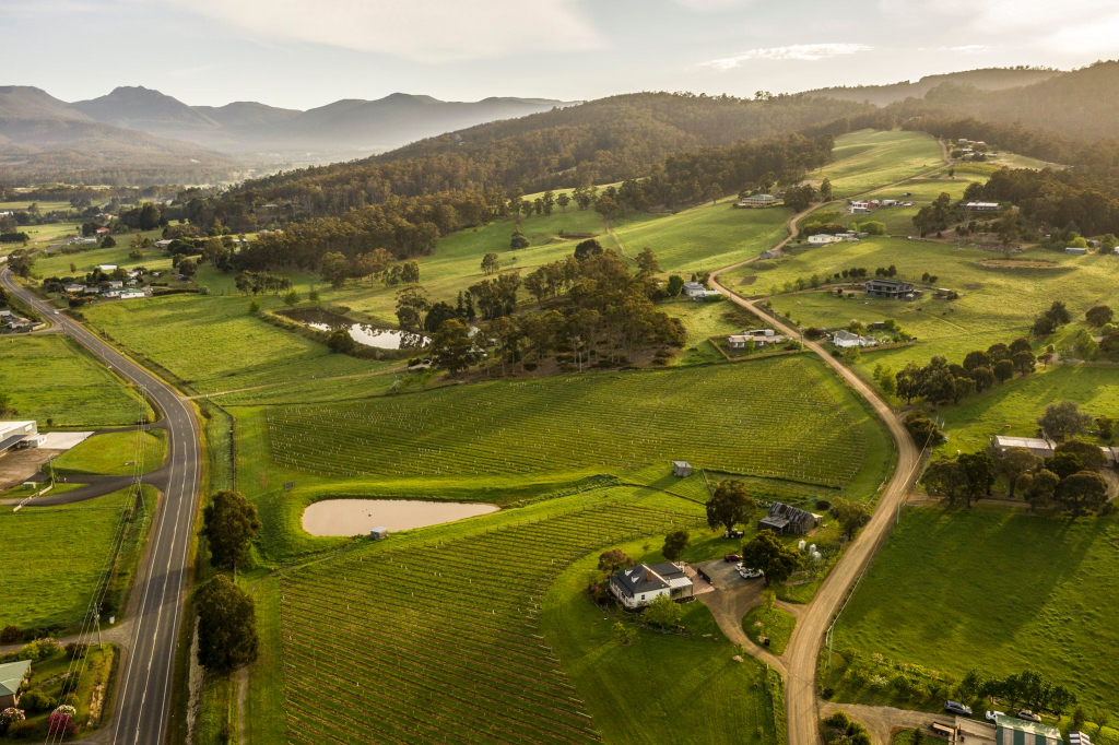 Open Vineyards Seek Weekend Visitors Tasmanian Times