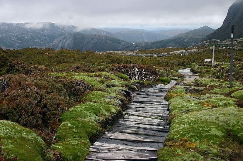 Wilderness Guides Call for Overhaul of Tourism EOI Process 1