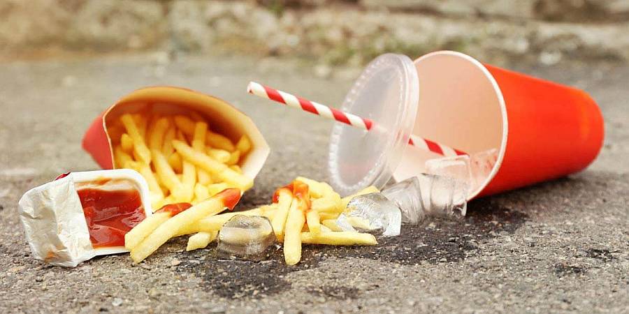 Bans on Single-Use Plastics Needed in Next Tas Parliament 1