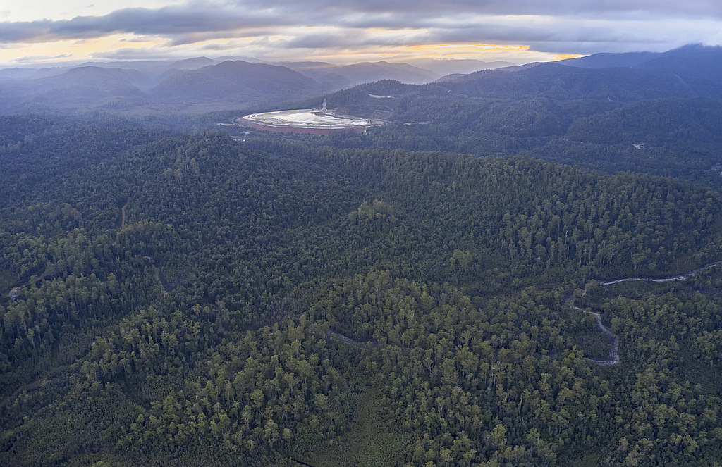'Insufficent Study of Listed Species' at Tailings Dam Site 1