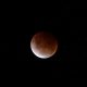 Lunar Total Eclipse Hobart 13