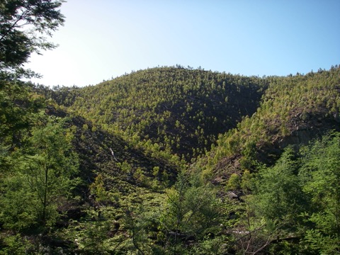 Tasmanian Conservation Group Wins International Ecological Restoration Award 3