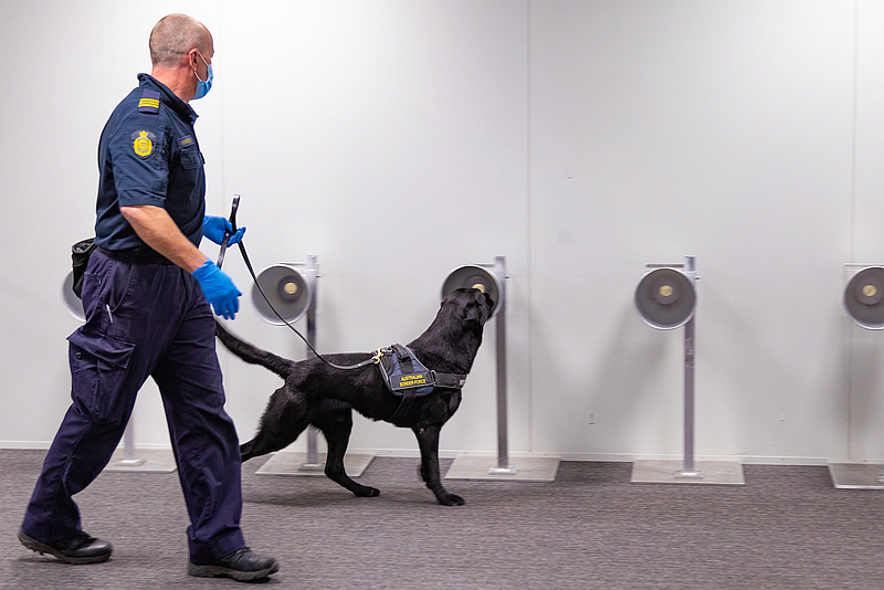 COVID-19 Detector Animal Research and Trials Underway at Adelaide Airport 1
