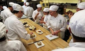 New Baking Course as Part of VXT Re-brand 6