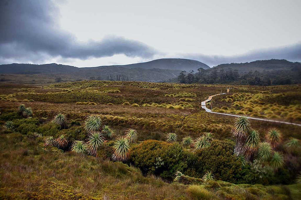 TNPA on Cradle Mountain Master Plan 1