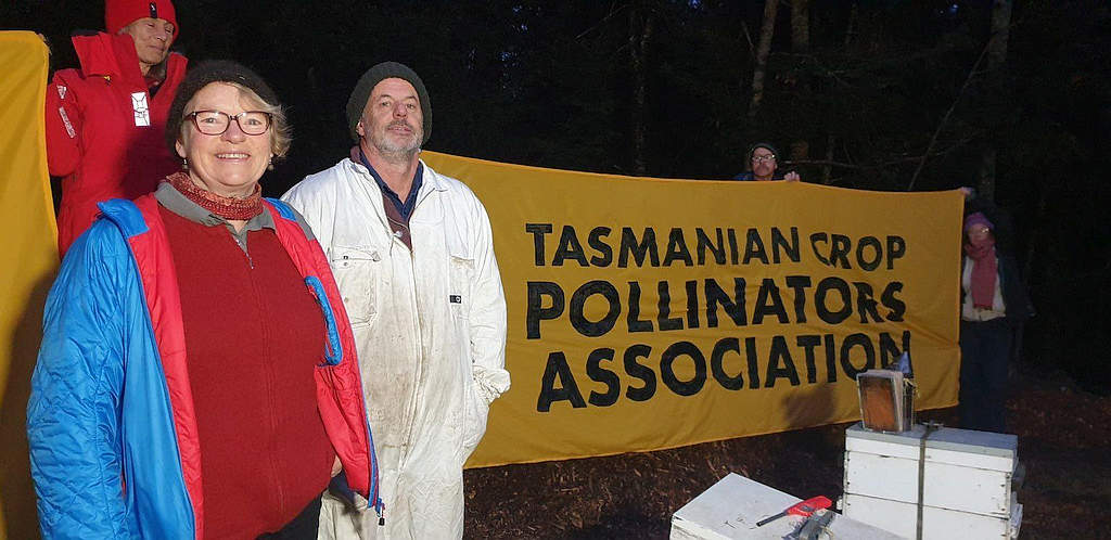 Crop Pollinators Association Calls for Leatherwood Protection 3