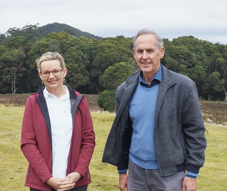 Politics with Michelle Grattan: Bob Brown on his Latest Environmental Battle, and a Critique of Labor 5