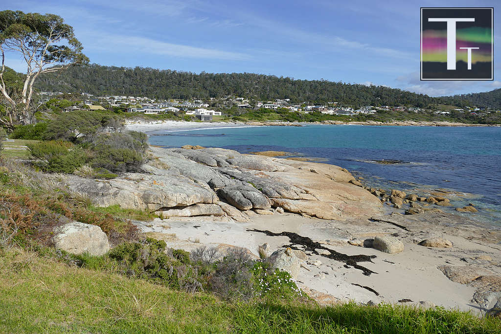 UN Decade of Ecosystem Restoration - 'Conversations on the Coast' 1