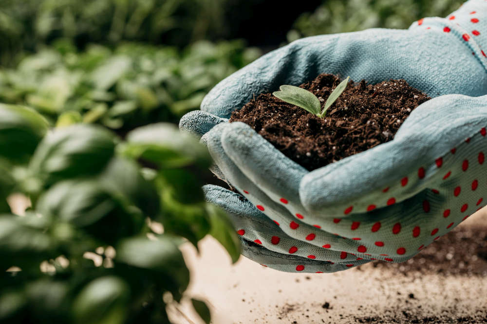 Dangers of Trading Soil Carbon 1