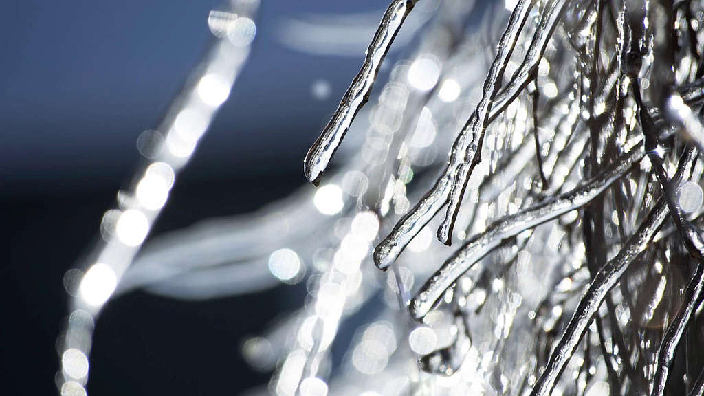 Poet's Corner - 'Winter' 1