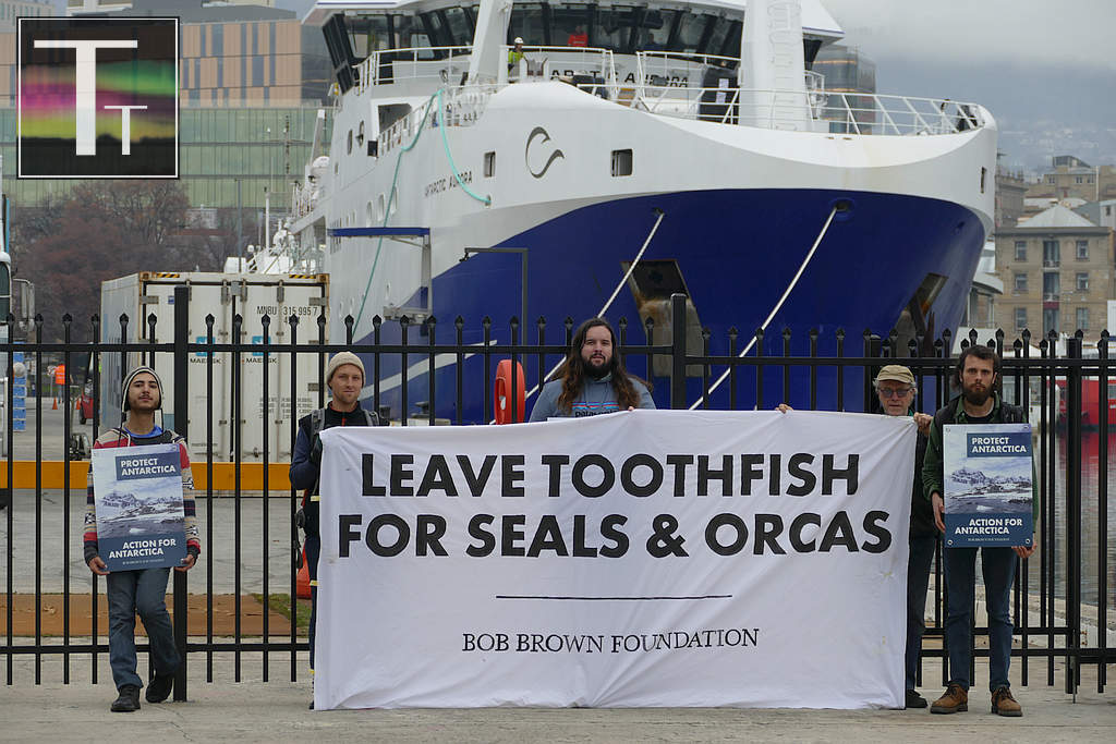 Toothfish Under Pressure from Commercial Fishing 3